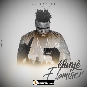 Elamiser